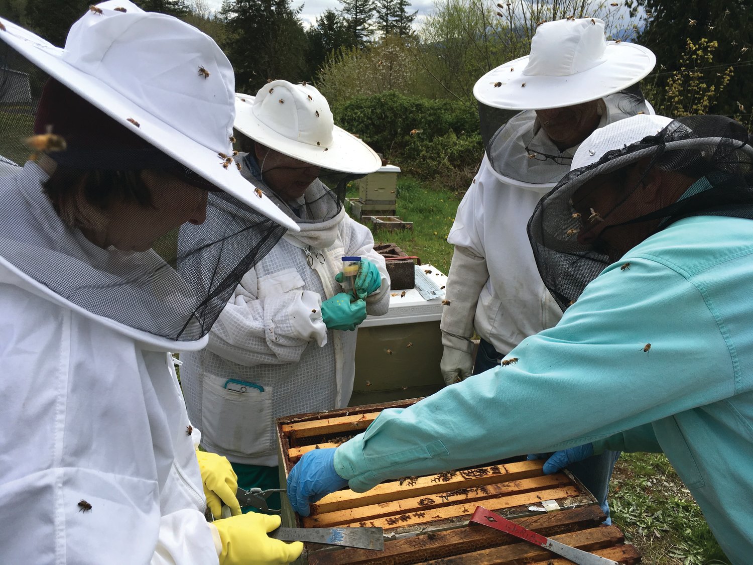 EJ Bees’ beginning beekeeping course participants have a hands-on apiary visit in 2017.